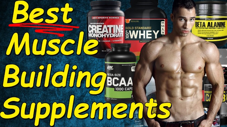 12 Best Bodybuilding Supplements For Muscle Progress 2025